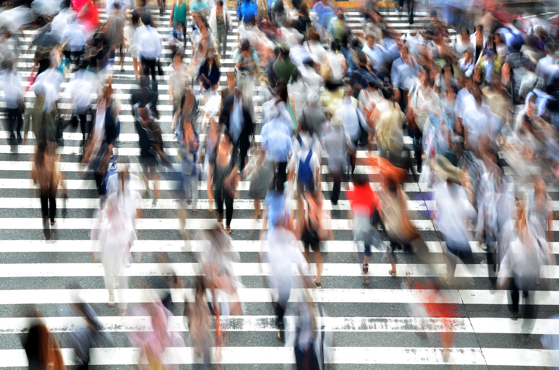 Movimento